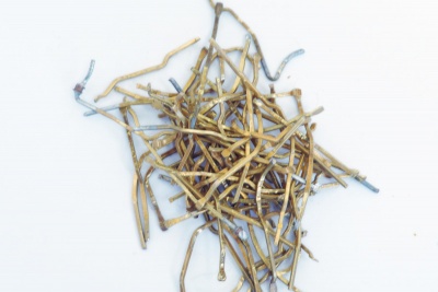 рппм16 контакты кг 